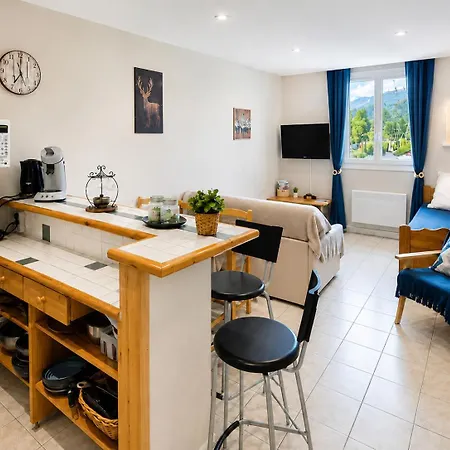 Grand Confort Pour 3 Personnes Linge En Option Appartement Barcelonnette
